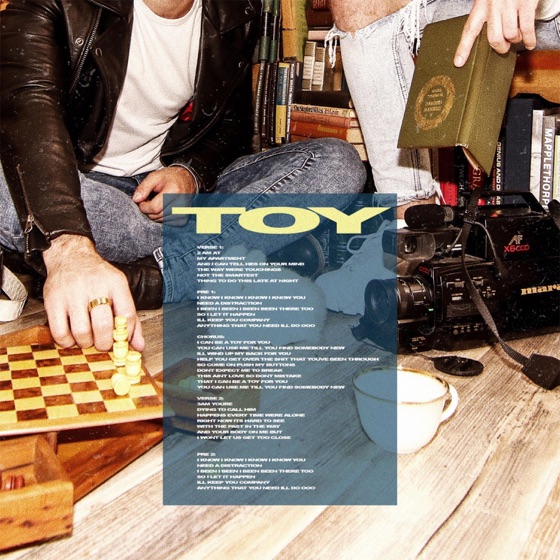 Cover artwork for Toy