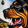 Rottweilers - Single