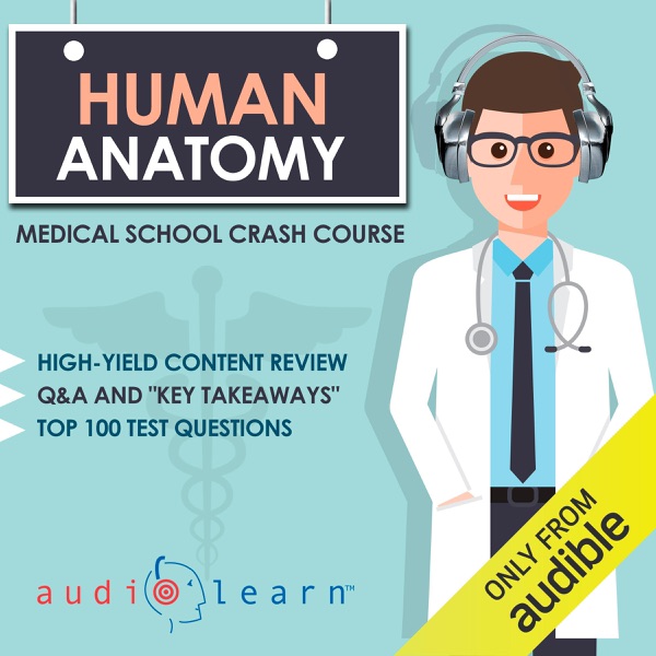 Human Anatomy: Medical School Crash Course (Unabridged)