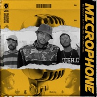 Microphone (feat. Zany Inzane & Schama Noel) - Single - BigDoggy