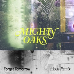 Forget Tomorrow (filous Remix) - Single