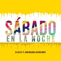 Sabado en la Noche (feat. Juan Roldan & Alfred White) - Single - Djleo23