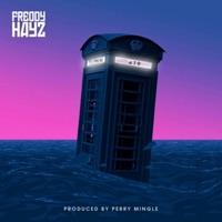 419 - Single - Freddy Hayz