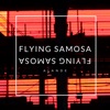 Flying Samosa - Single