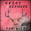 Run Wild (feat. Tej) - Single