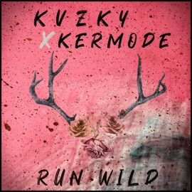 Run Wild (feat. Tej) Kvzky & Kermode