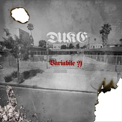 Variabile Y - Duke