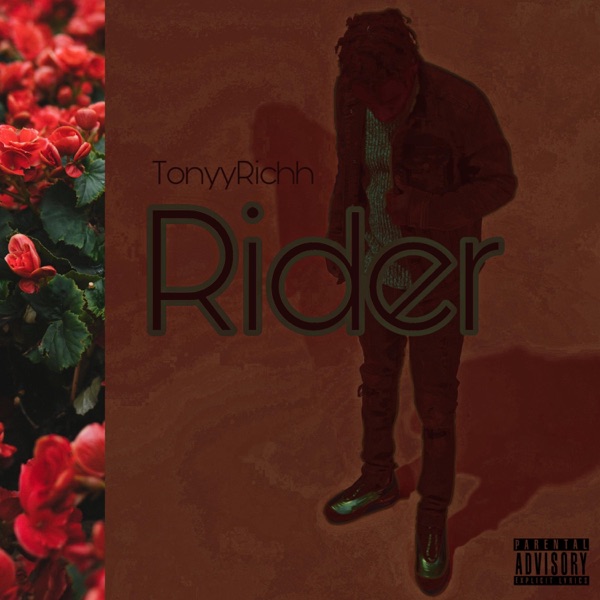 Rider