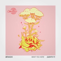 Want You Here - Single - Benasis