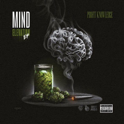 Mind Elevation - EP