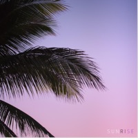 Sunrise (feat. Jouzu) - Single - Darius
