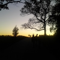 Home 209 (feat. Strklr) - Single - Darwin.Destroyed