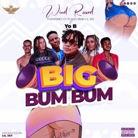 BIG BUM BUM (feat. CY, FLASH, YO B & SNW) TheMoney