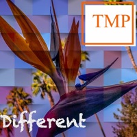 Different (feat. Lander) - Single - TMP