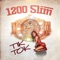 Tik Tok - 1200 SLIM lyrics