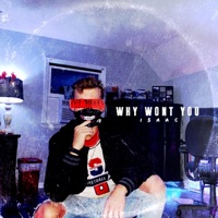 Why Won't You - Single - stretch