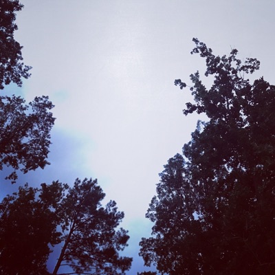 Past Them (feat. Bradley Gore) - Single