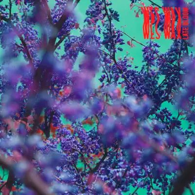 Listen to Late Bloom by WES WAX