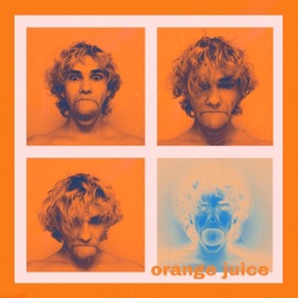 Orange Juice Seigfried
