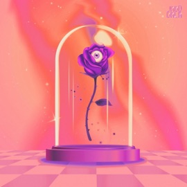 Bloom SOXX