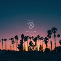 Ocaso - Single - NZA 333