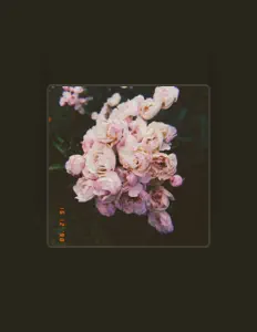 Dengarkan NativeSugar, tonton video musik, baca bio, lihat tanggal tur & lainnya!