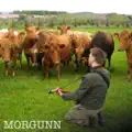 Morgunn