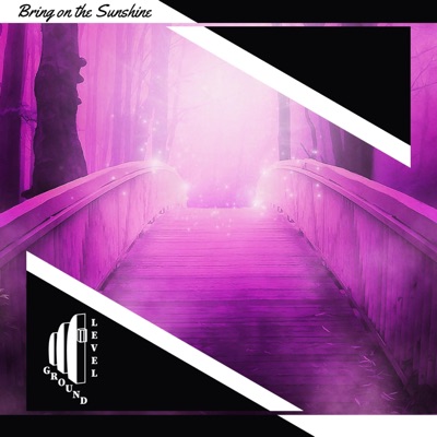Bring on the Sunshine (feat. MaWo & $hake Money) - Single
