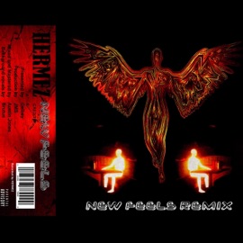 New Feels (Remix) Hermez