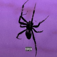 LSD - Single - Mafia the Creator