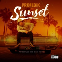 Sunset Blvd - Single - Profedik