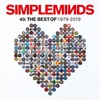 Don't You (Forget About Me) by Simple Minds iTunes Track 2