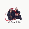 Nothing 2 Say - Single