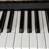 Peter Salomonsen - Garbage Collection Middle Part (Piano Version)