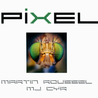 Martin Roussel & MJ Cyr - Pixel artwork