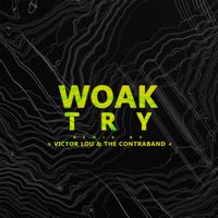 Try (Victor Lou & the Contraband Remix) - Single - WOAK