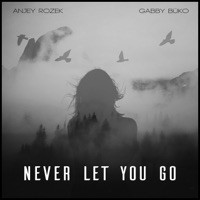 Never Let You Go - Single - GABBY BÜKO & AnJey Rozek
