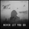 Never Let You Go - AnJey Rozek & GABBY BÜKO lyrics