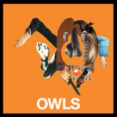 Owls - Everyone Is My Friend