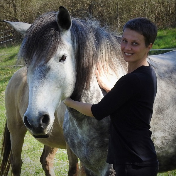 Feel & Timing when working with horses Feel & Timing when working with horses
