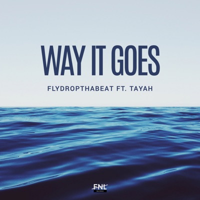 Way It Goes (feat. Tayah) - Single