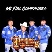 Mi Fiel Compañera - Single - Paulino Rosas Y Su Estilo Norteño