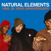 Natural Elements - Paper Chase