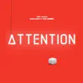 Attention (& Michelangelo & Marc Quinones)
