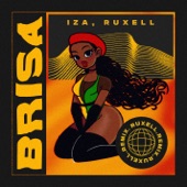 Brisa (Ruxell Remix) artwork