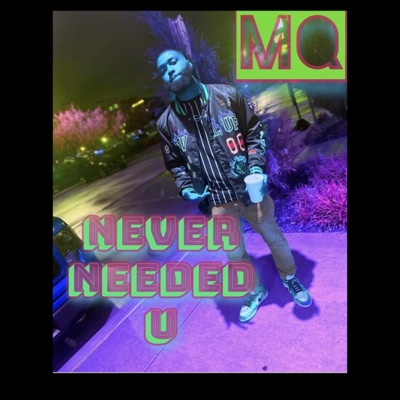 Never Needed U - Single