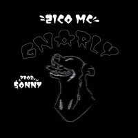 Gnarly - Single - ZICO MC