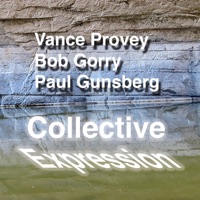 Collective Expression - Bob Gorry, Vance Provey & Paul Gunsberg