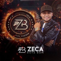 2019 Para Paredão - Zeca Bota Bom