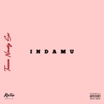 Indamu - Single